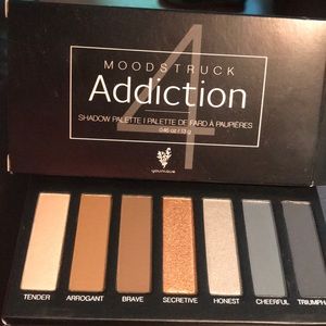 Moodstruck Addiction Palette 4